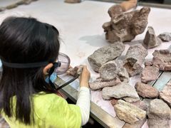 -世界恐龙谷景区