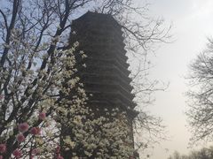 -玲珑塔公园