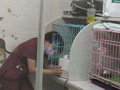 -美联众合动物医院·24h京西诊疗中心