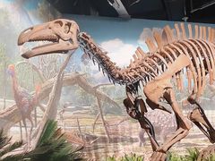 -辽宁古生物博物馆