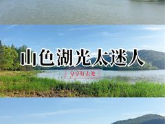 -长广溪湿地公园