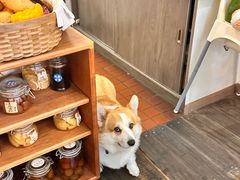 -肥朵食堂(带梦胡同店)