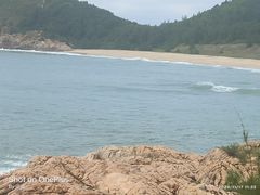 -广东惠东海龟国家级自然保护区