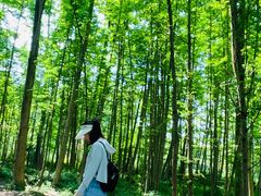 -桤木河湿地公园