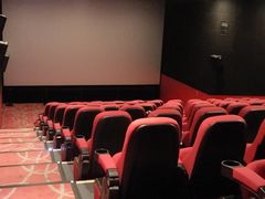 -中影嘉华国际影城(大芬星都里店)