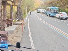 -牛背梁国家森林公园