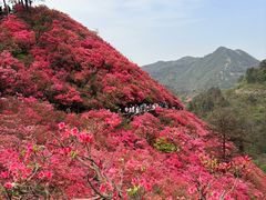-木兰云雾山