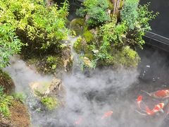 -唐河王记·南阳民间菜(国基路店)