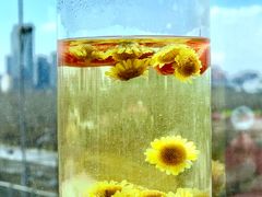 小油菊花茶-太麻里文创咖啡馆(创意设计中心店)