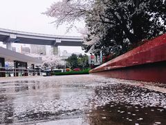 -上海南浦大桥长途旅游客运站