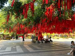 -西双版纳勐泐文化旅游区