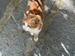 -终南山南五台景区