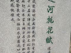 -桃花堤公园
