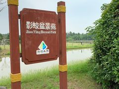 -上海海湾国家森林公园