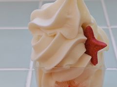 -红星前进面包牛奶公司(五道口购物中心店)