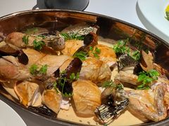-Oyster Talks 四度蚝法餐厅