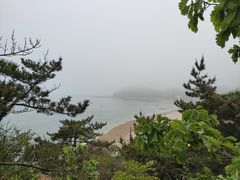 -棒棰岛宾馆景区