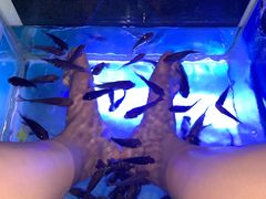 -汤连得温泉馆(宝山店)