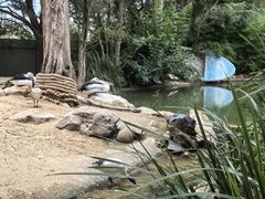 -费瑟代尔野生动物园