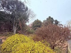 -南关北海公园