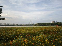-海珠湖公园