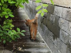 -大钟寺古钟博物馆