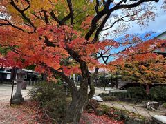 -医王山·飞騨国分寺