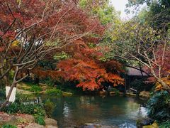 -中国茶叶博物馆(双峰馆区)