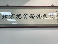 -北京观赏动物医院·24小时大型综合·猫专科·异宠专科