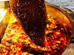 -重庆大队长火锅(凤城八路店)