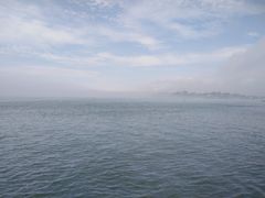 -演武大桥观景平台