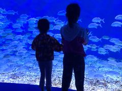 -波塞冬旅游度假区