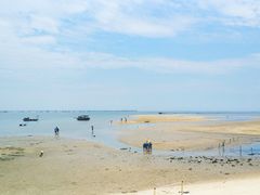 -北海金海湾红树林生态旅游区