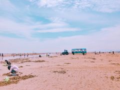 -刘家湾赶海园