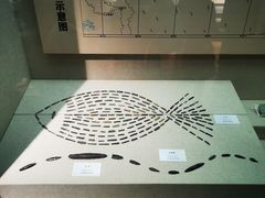 -巴音郭楞蒙古自治州博物馆