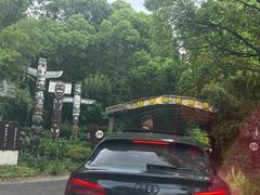 -常州淹城野生动物世界