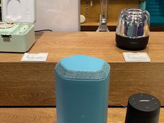 -sundanpulse顺电·脉(海岸城购物中心店)