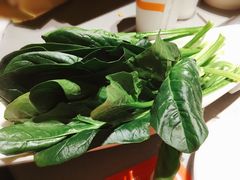 菠菜-海底捞火锅(方塔东街店)