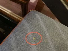 -苏小柳手工点心(人民广场分院)