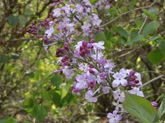 -沈阳辉山风景区