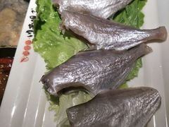 -川西坝子(老军营店)