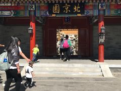 -武清南湖绿博园