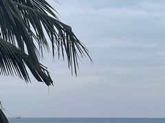 -日落吧·海景咖啡厅·餐酒吧·鸡尾酒·下午茶·乐队表演·浪漫夕阳·三亚文华东方酒店