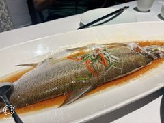 清蒸江南大白鱼-翡翠江南(国贸商城店)