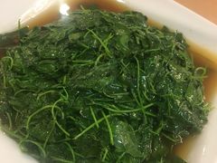 -新南华大酒店(广中店)