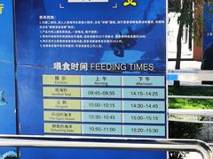 -上海海洋水族馆