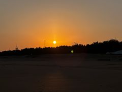 -日照海滨国家森林公园