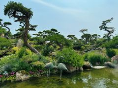 -罗红摄影艺术馆