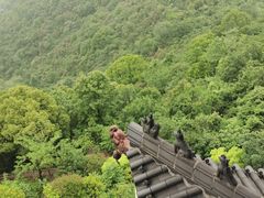 -杭州半山国家森林公园