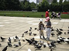 -大连人民广场